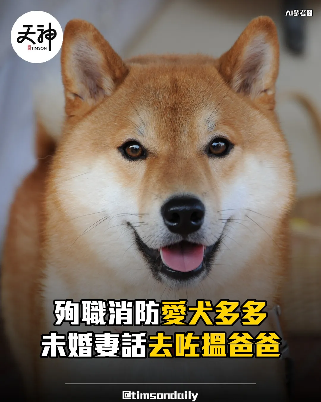 宏福苑殉職消防何偉豪愛犬多多離世 未婚妻話去咗搵爸爸