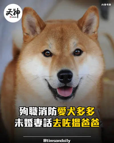宏福苑殉職消防何偉豪愛犬多多離世 未婚妻話去咗搵爸爸
