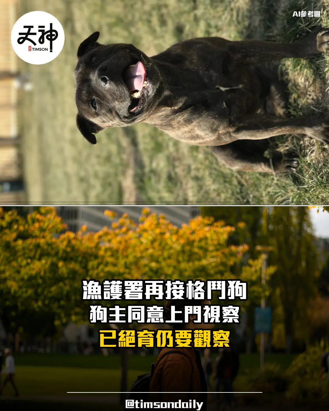 漁護署再接懷疑未登記格鬥狗個案 狗主同意上門後帶回鑑定
