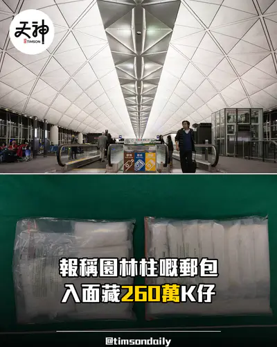 海關截園林柱郵包揭藏260萬K仔 兩升中二男生今提堂