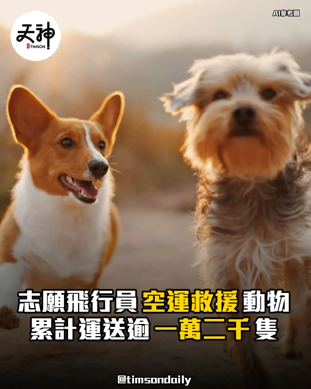 美國Puppy Rescue Flights空運逾12000隻動物助離開擠迫收容所