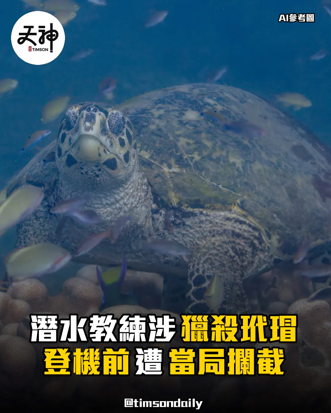 中國潛水教練印尼涉獵殺瀕危玳瑁登機前遭攔截