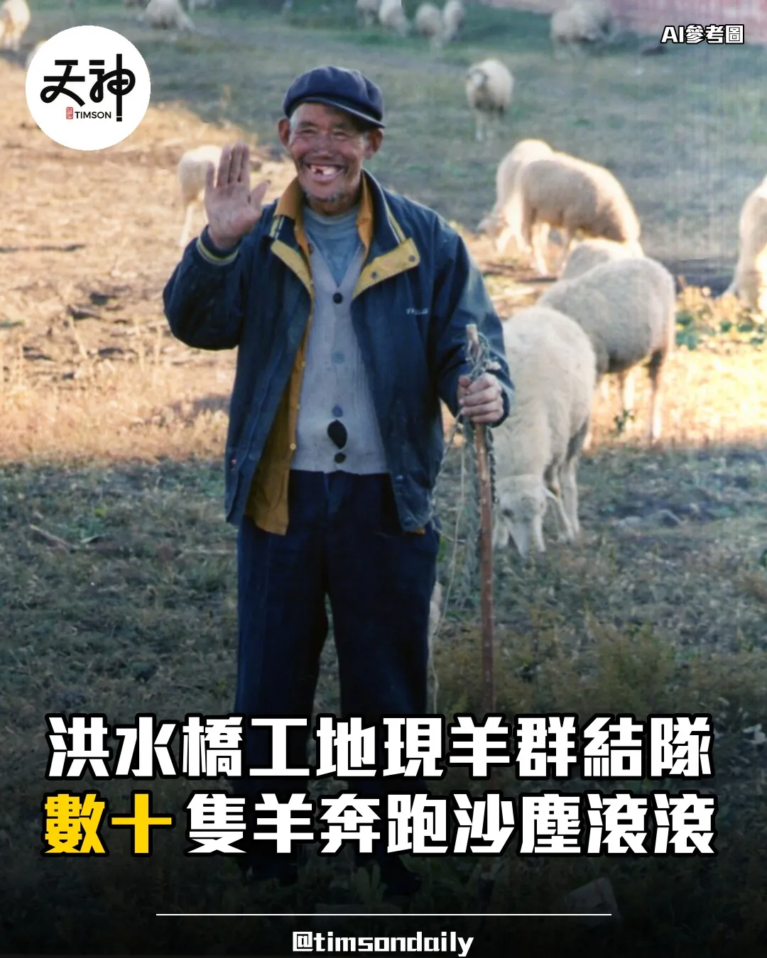 洪水橋工地羊群結隊奔跑沙塵滾滾網民熱議