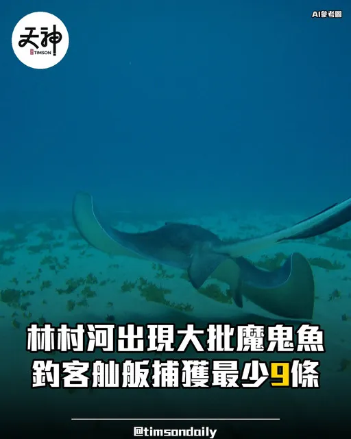大埔林村河現魔鬼魚群 釣客舢舨捕獲最少9條 專家籲放生