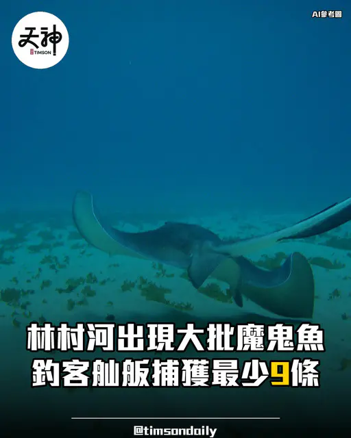 大埔林村河現魔鬼魚群 釣客舢舨捕獲最少9條 專家籲放生