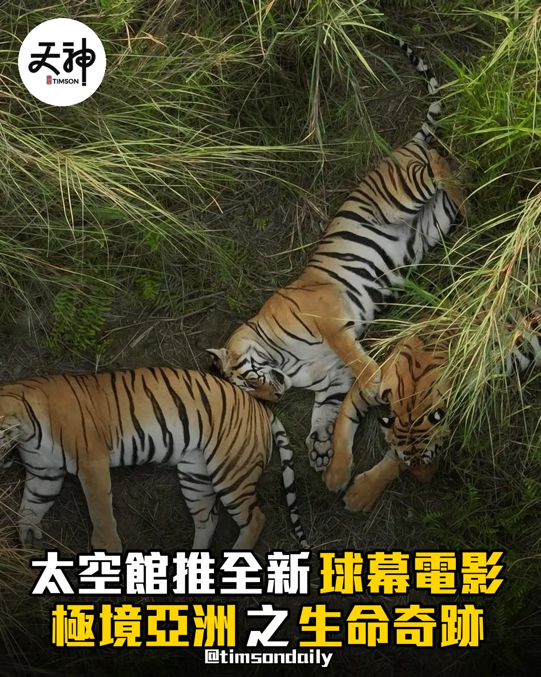 香港太空館推出全新球幕電影極境亞洲之生命奇跡