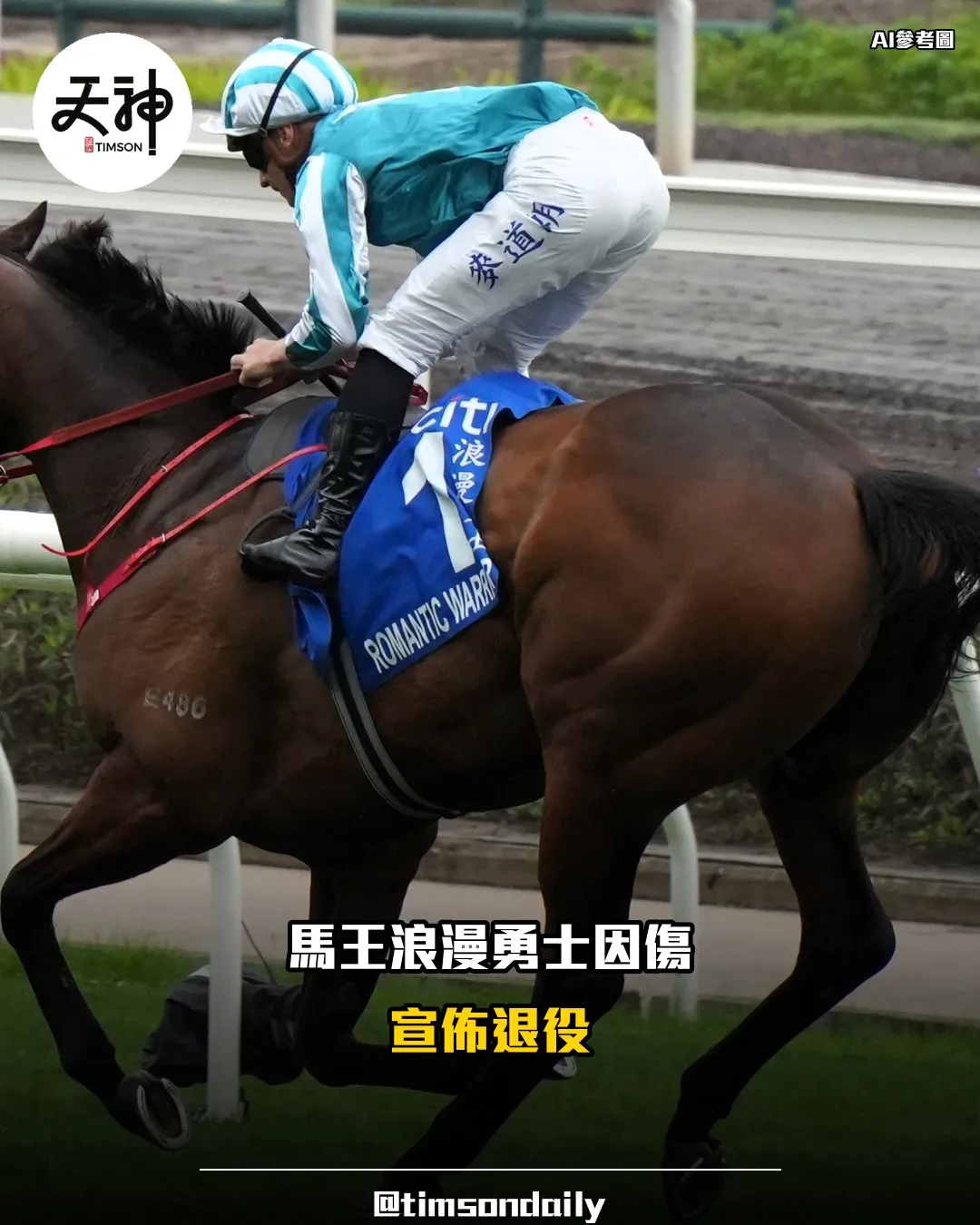 馬王浪漫勇士因傷宣佈退役沙田稍後辦歡送