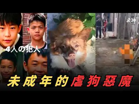 【拆解】4位未成年惡魔虐殺流浪狗！內地未成年完全唔洗負刑責? 呢個係文明程度既問題