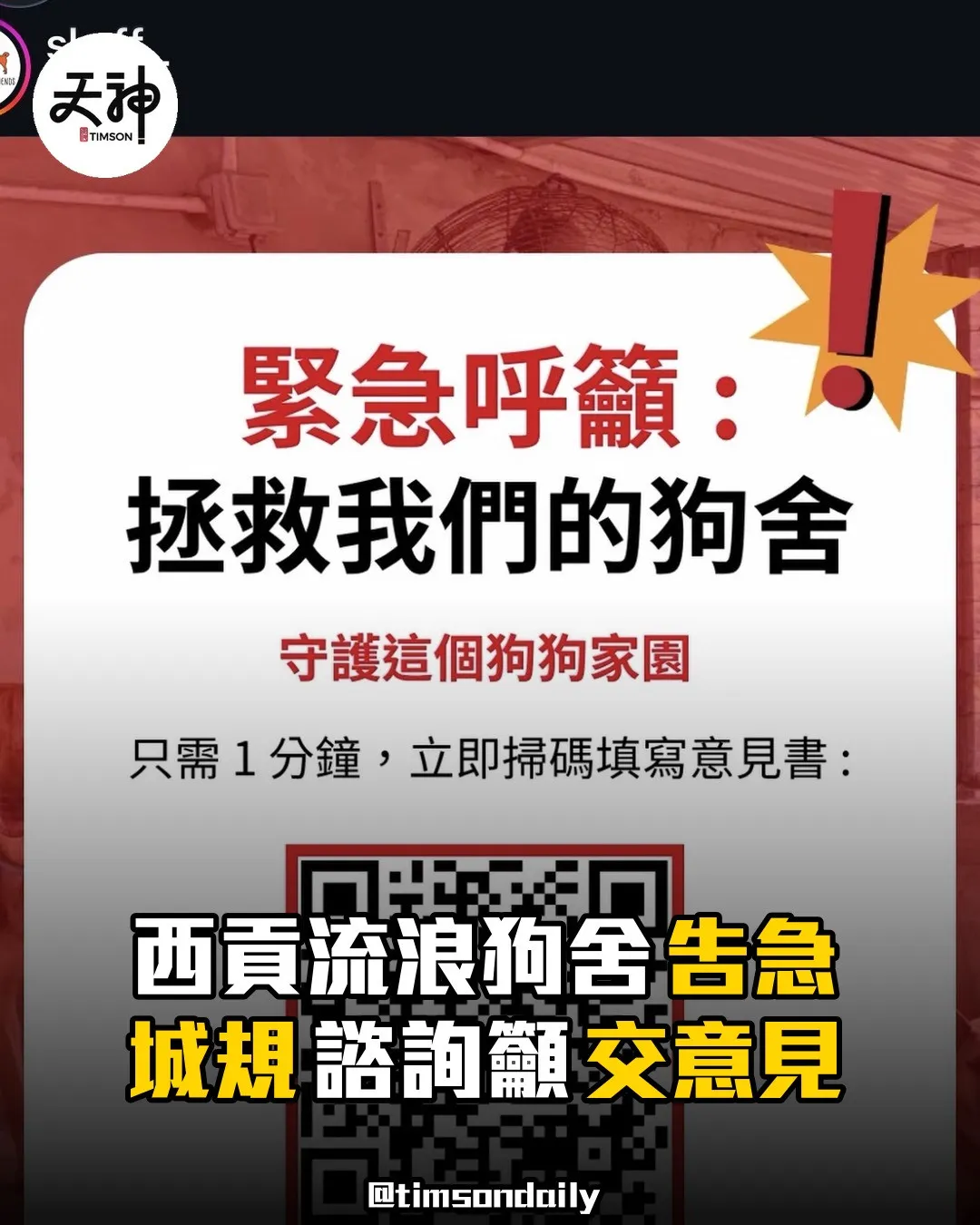 西貢流浪狗舍告急城規諮詢籲市民交意見