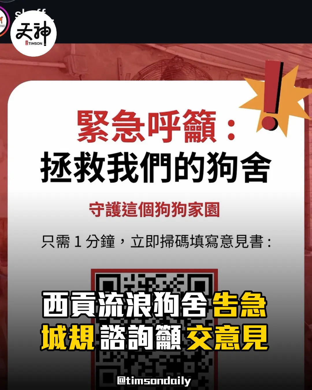 西貢流浪狗舍告急城規諮詢籲市民交意見