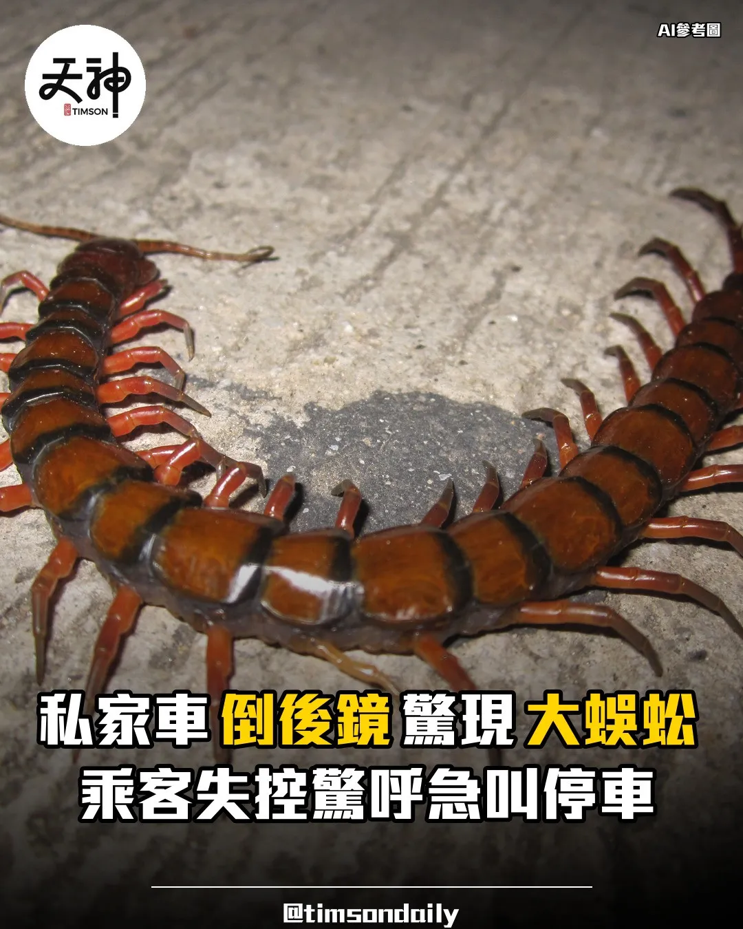 私家車倒後鏡驚現大蜈蚣乘客失控驚呼