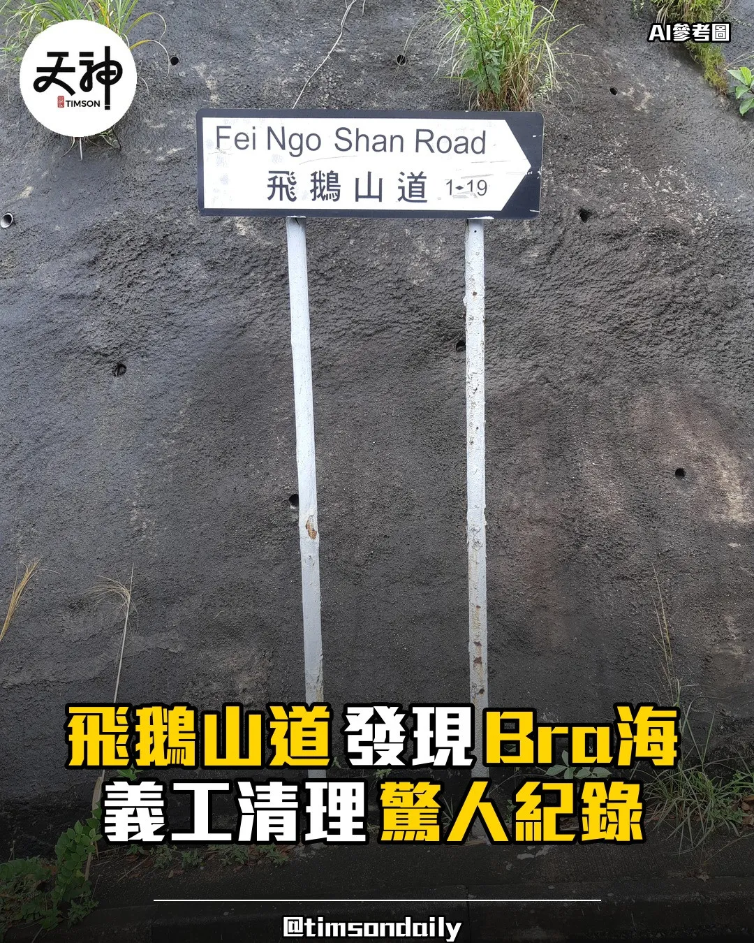 飛鵝山道清潔發現Bra海義工清理驚人紀錄