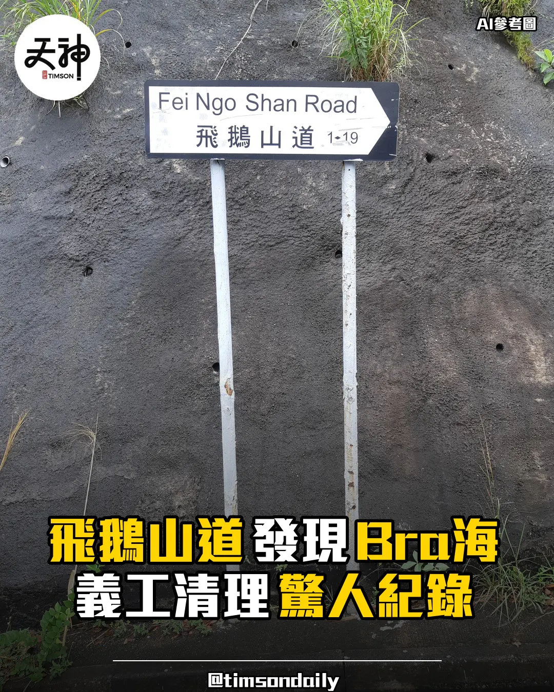 飛鵝山道清潔發現Bra海義工清理驚人紀錄