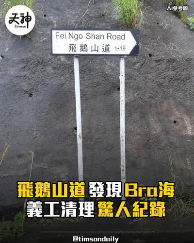 飛鵝山道清潔發現Bra海義工清理驚人紀錄