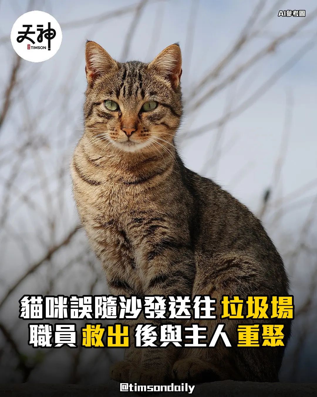 美國維珍尼亞州貓咪誤隨沙發送往垃圾場 職員救出後與主人重聚