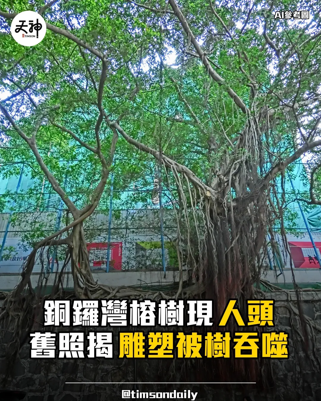 銅鑼灣榕樹現人頭舊照揭雕塑被樹吞噬