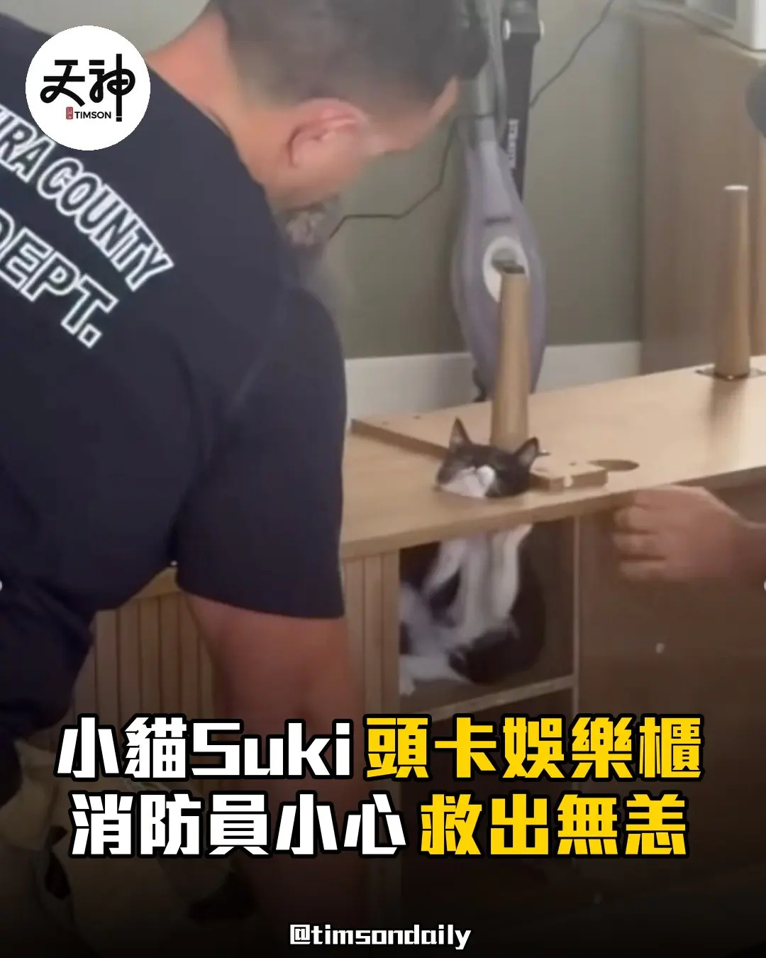 美國加州小貓Suki頭卡娛樂櫃 消防員小心救出無恙