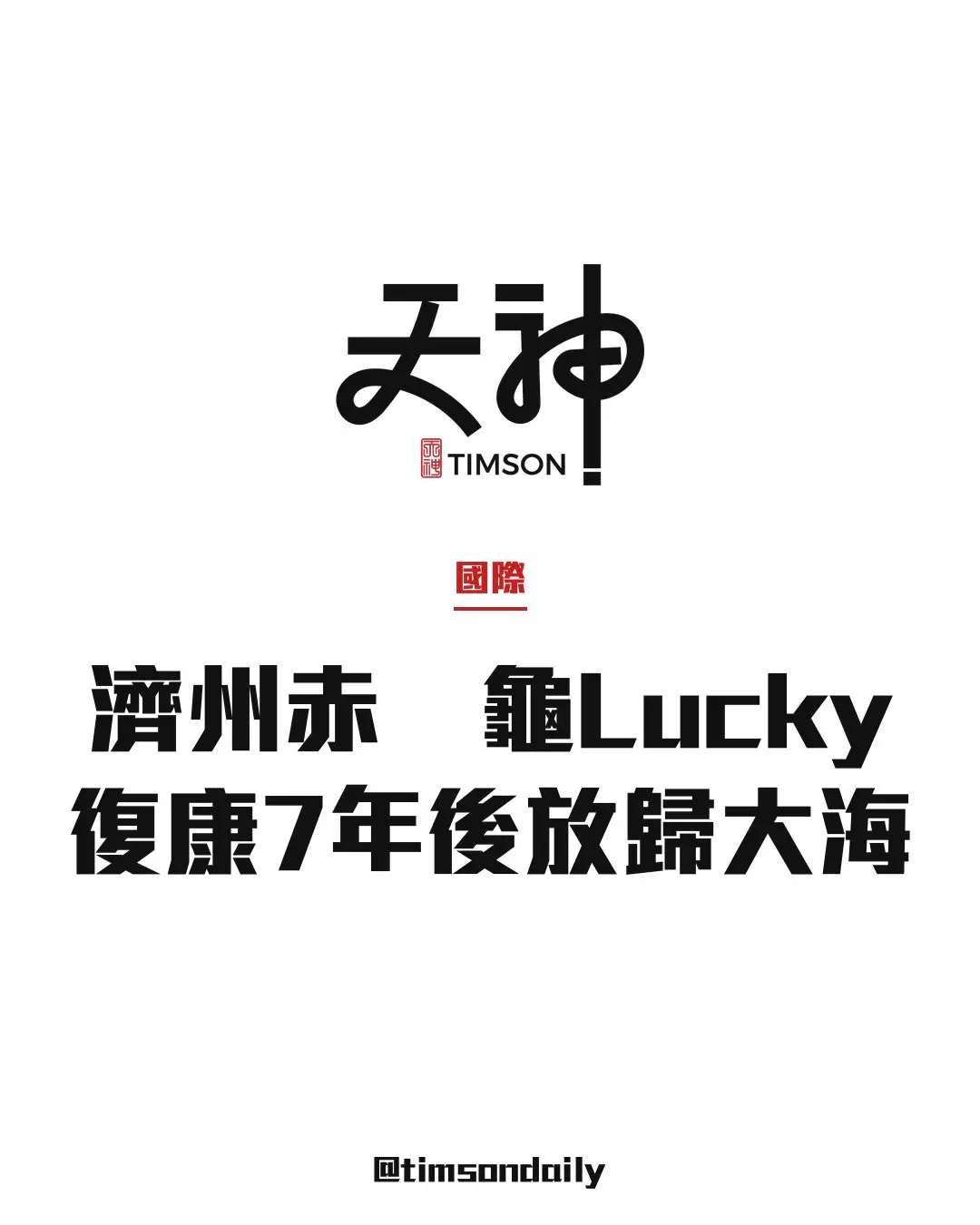 濟州赤蠵龜Lucky復康約7年7次手術後放歸大海