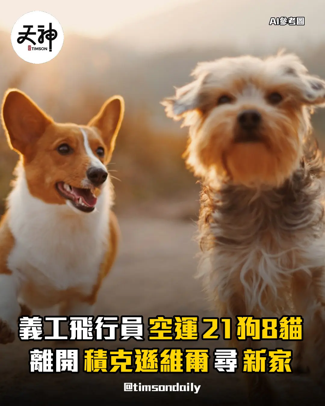 美國Pilots To The Rescue空運21狗8貓離開積克遜維爾尋新家