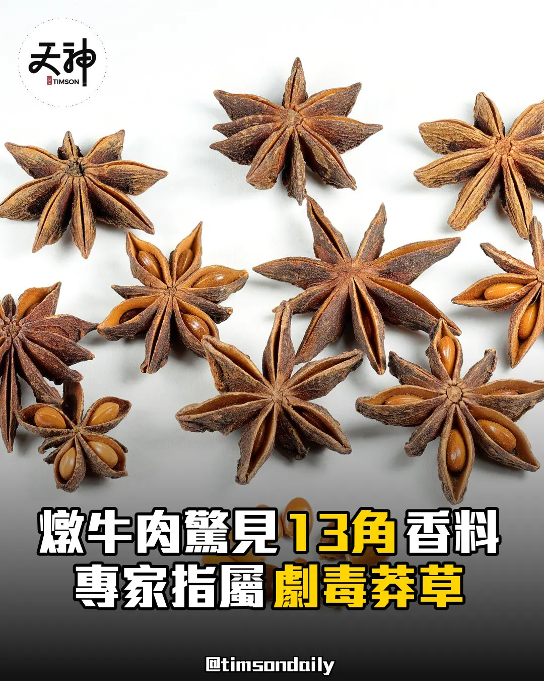 燉牛肉驚見13角香料 專家指或屬劇毒莽草