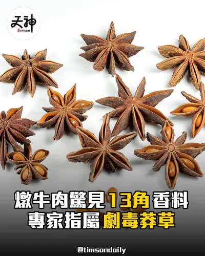 燉牛肉驚見13角香料 專家指或屬劇毒莽草