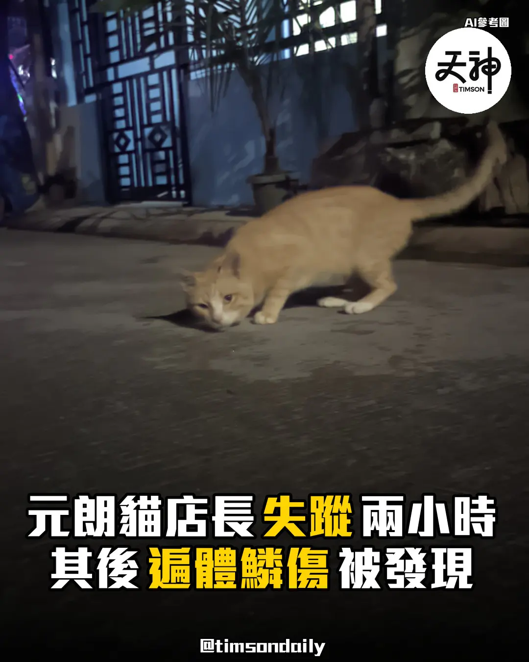 元朗貓店長涼粉失蹤後遍體鱗傷送醫 主人已報案