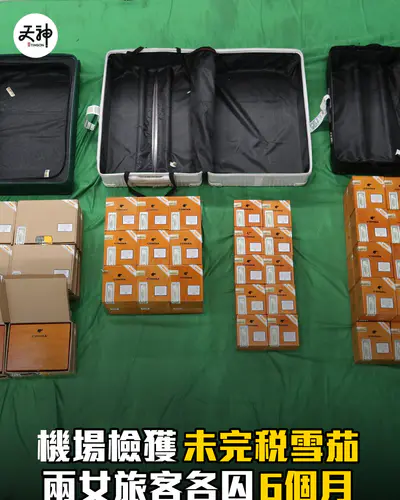 機場檢約55公斤未完稅雪茄 兩女旅客各囚6個月