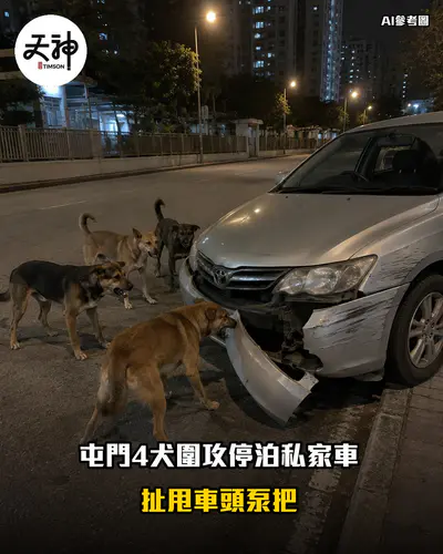 屯門4犬圍攻私家車 扯甩車頭泵把