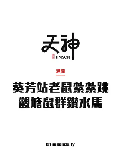 港鐵葵芳站老鼠紮紮跳　觀塘逾10鼠接力鑽水馬