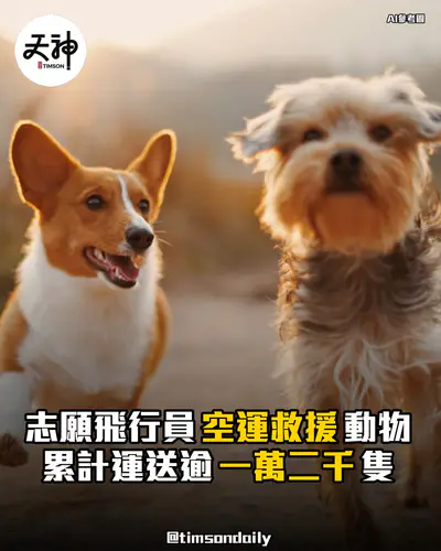 美國Puppy Rescue Flights空運逾12000隻動物助離開擠迫收容所